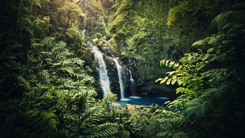 Breathtaking Waterfalls Near Nainital You Must Visit